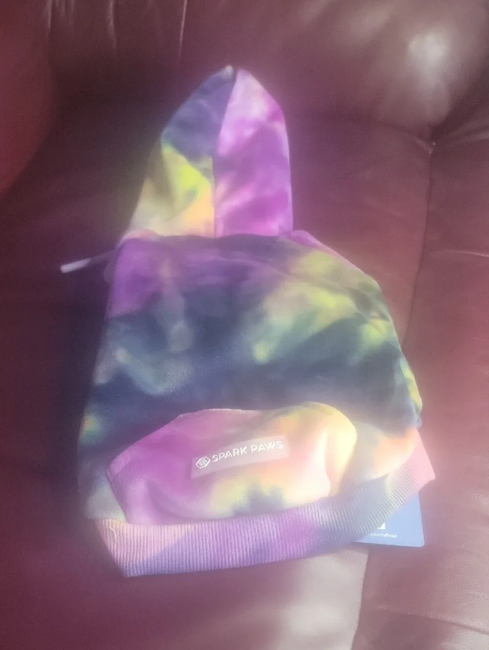 Spark Paws Tie-Dye Dog Hoodie in Multicolor
